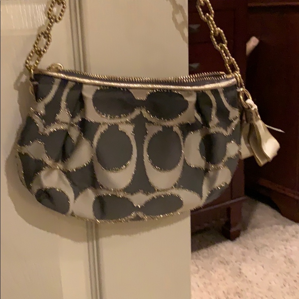 Mini Coach purse
